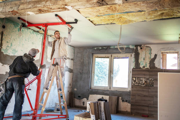 Best Insulation Replacement Services  in Meadville, PA